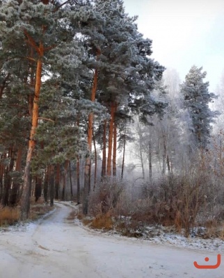 Красота осеннего леса_1